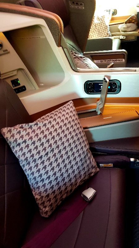 sedile di business class con cuscino