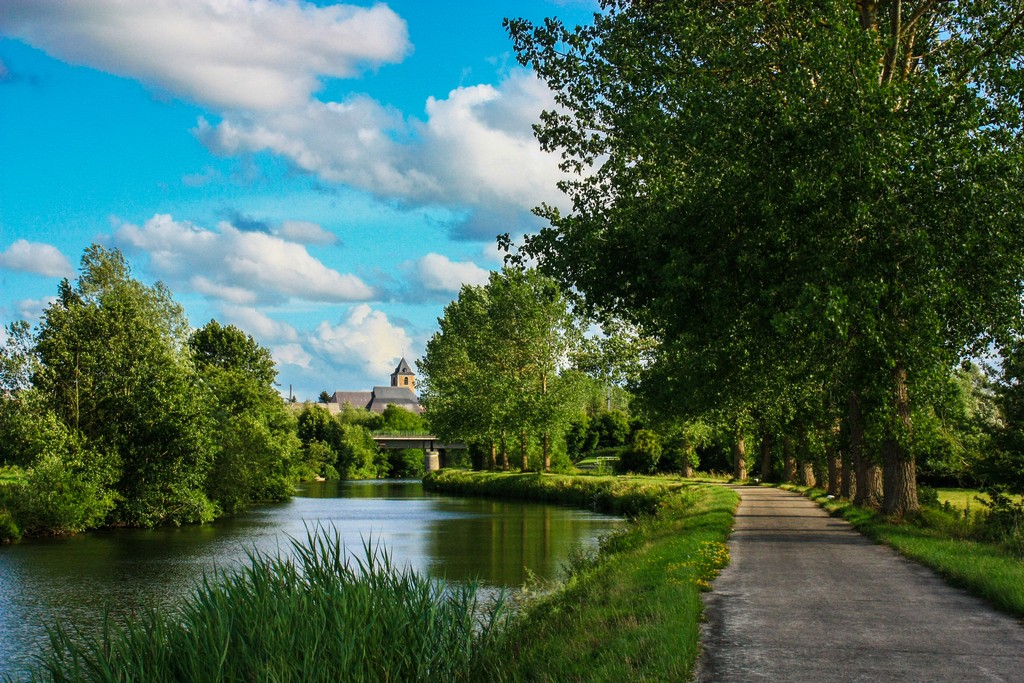 pista ciclcabile che costeggia il fiume con albero e una chiesa sullo sfondo