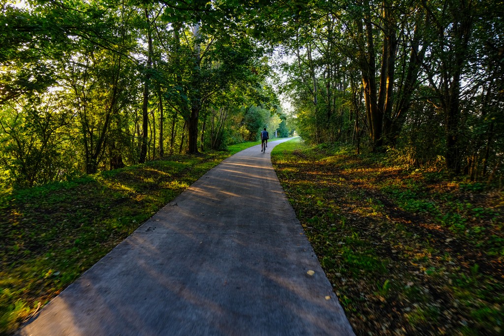 ciclista pedala su pista in mezzo agli alberi con luce radente fra gli alberi al tramonto