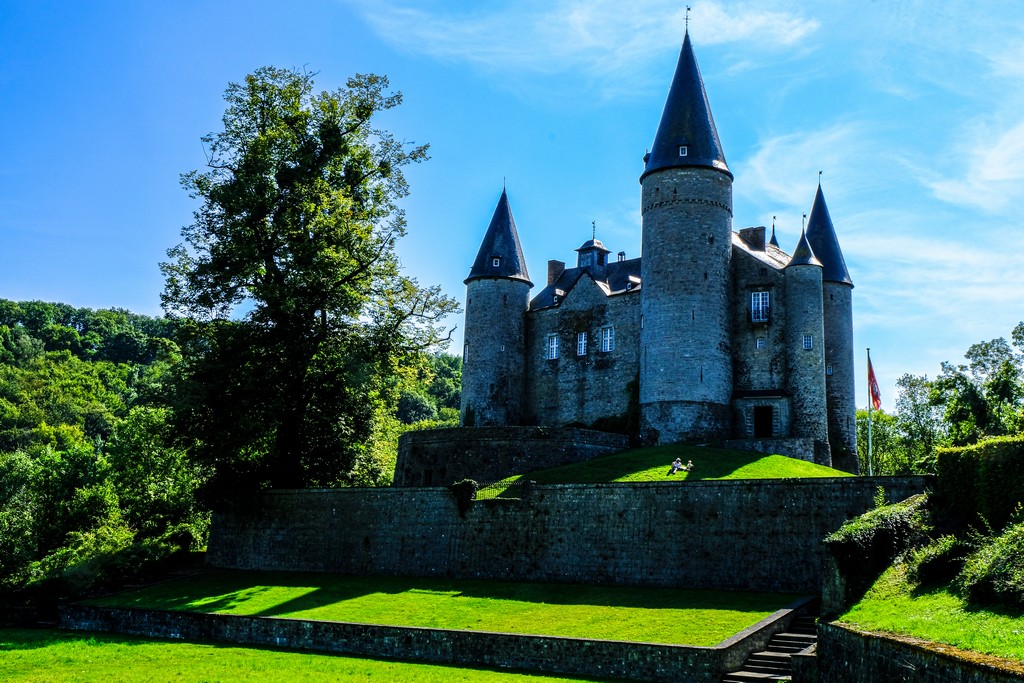 castello con primo piano di prato verde e albero