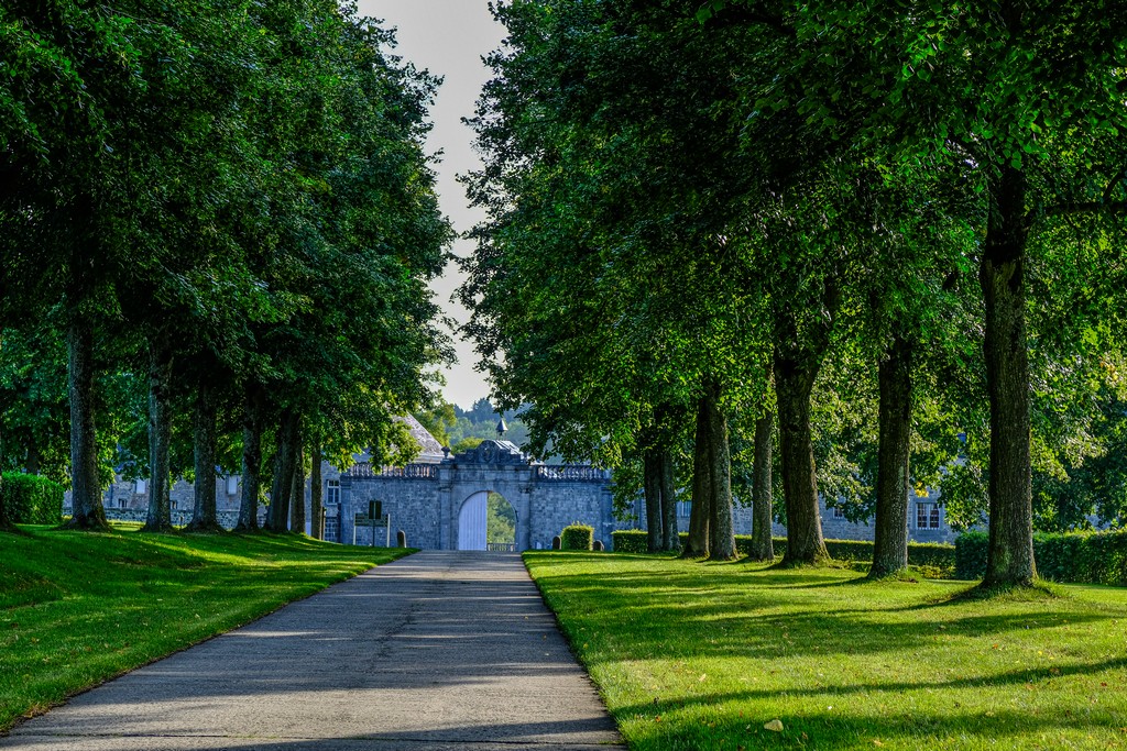 viale d'ingresso con file di alberi e muretto