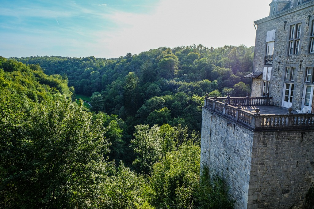 vista del bosco dietro al castello