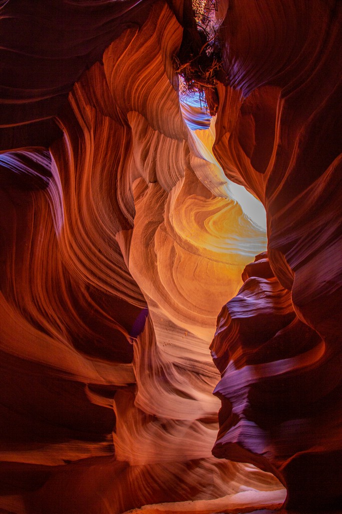 rocce di diversi colori e forme