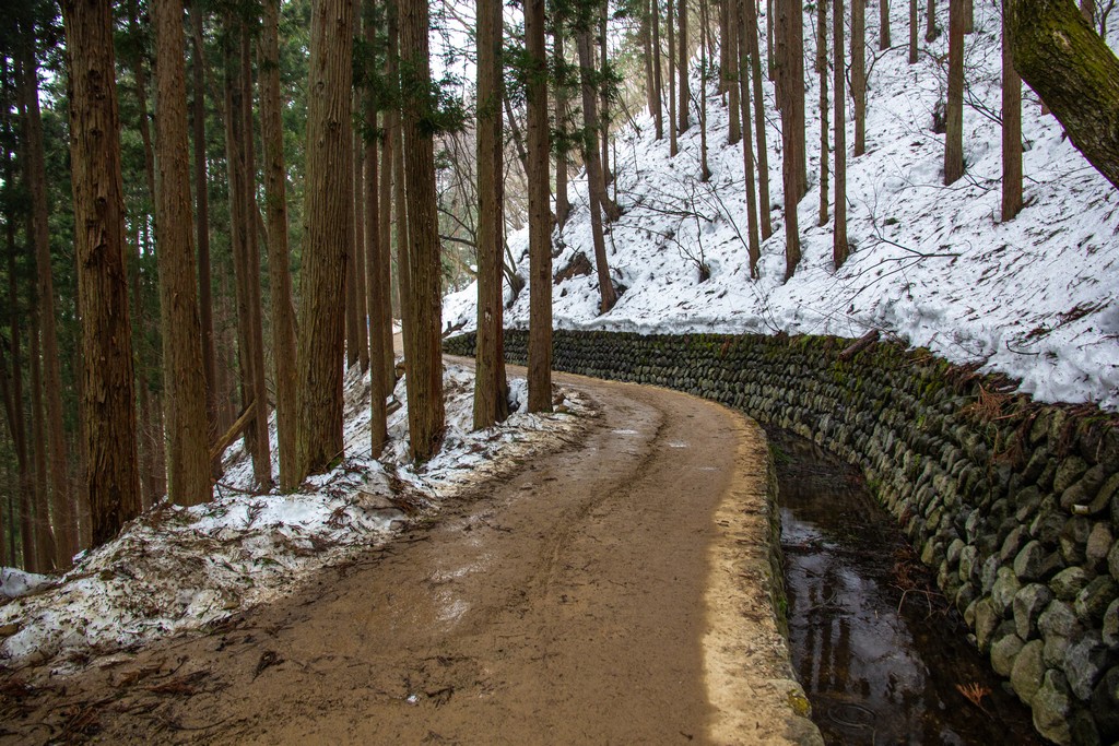 sentiero sterrato di montagna con neve e bosco