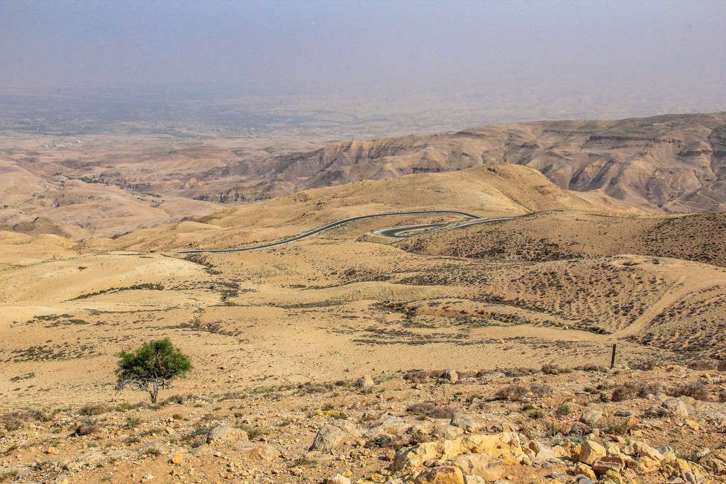 vista della arida valle del giordano con un albero e strada che serpeggia