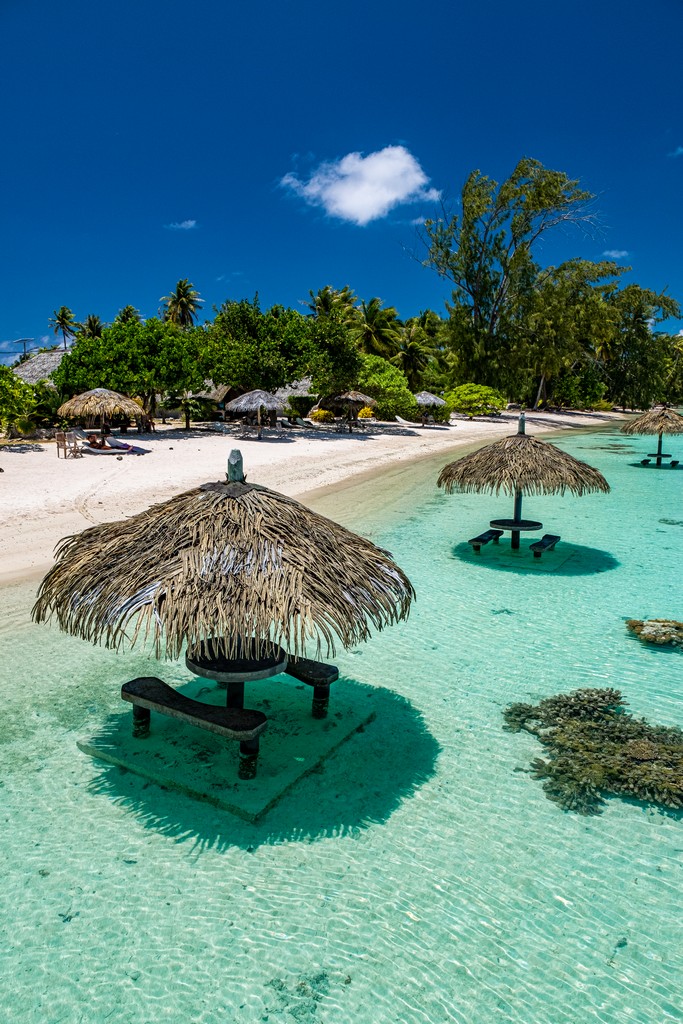 vista degli ombrelloni e della spiaggia con gli alberi