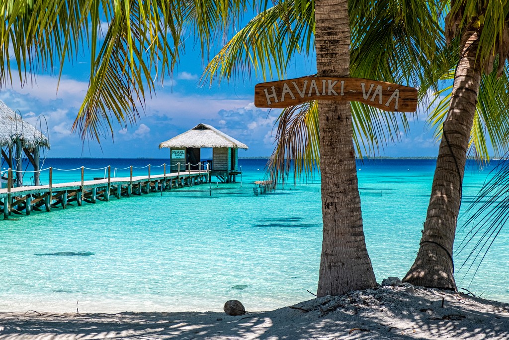 Dove dormire a Fakarava palme in spiaggia