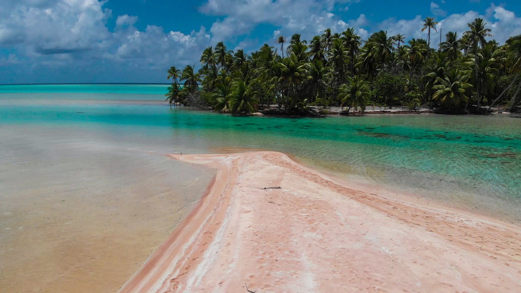 spiaggia di sabbia rosa con palme