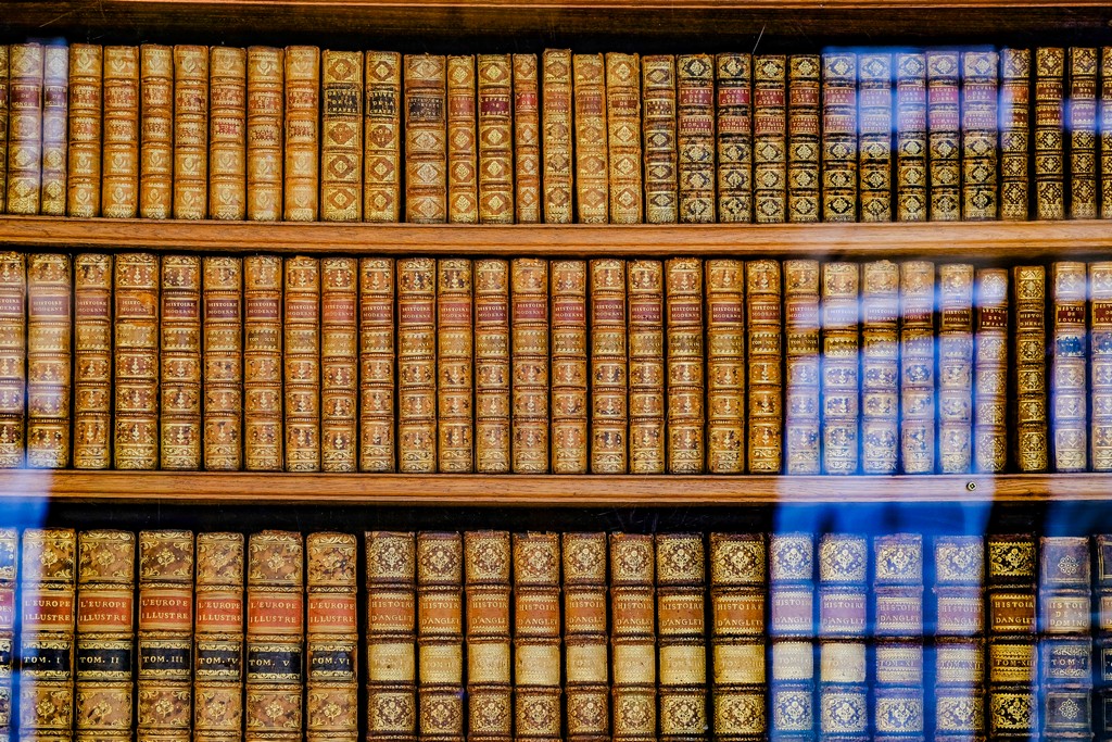 vista delle rilegatura antiche dei libri posati sugli scaffali dietro una vetrata