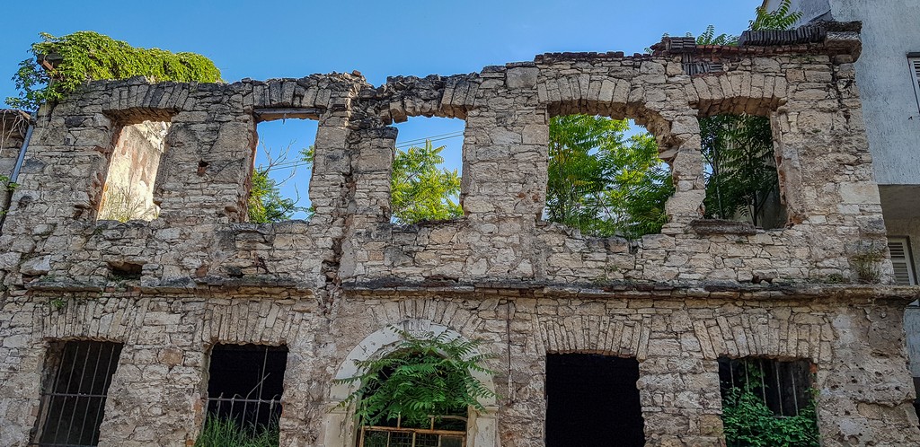 Piante e alberi crescono all'interno di una casa in rovina