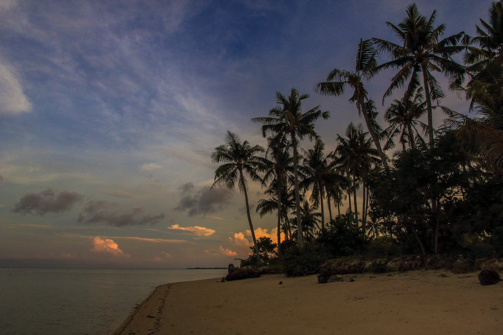 spiaggia con palme al tramonto
