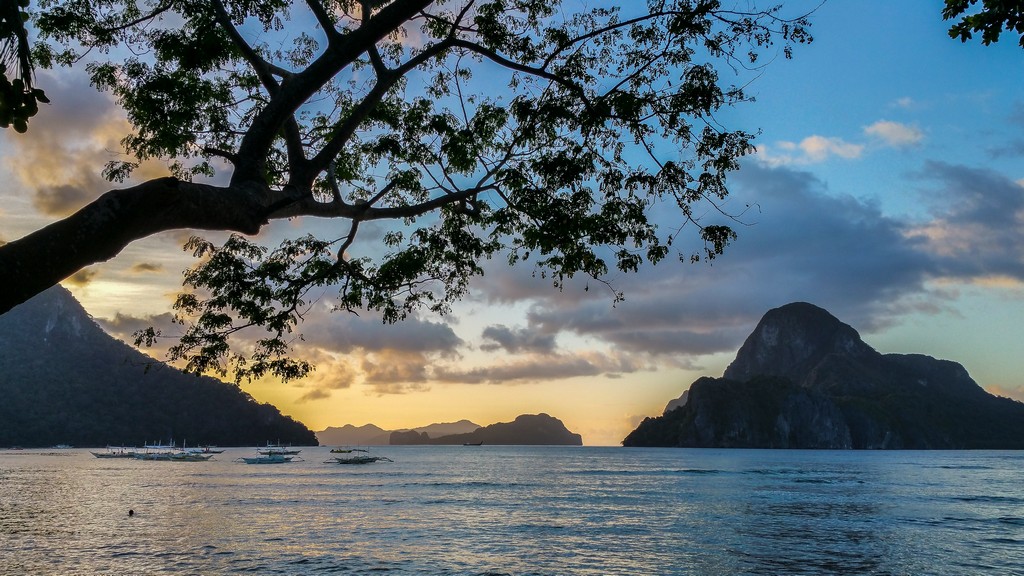 vista della baia al tramonto con albero e sfondo di isole