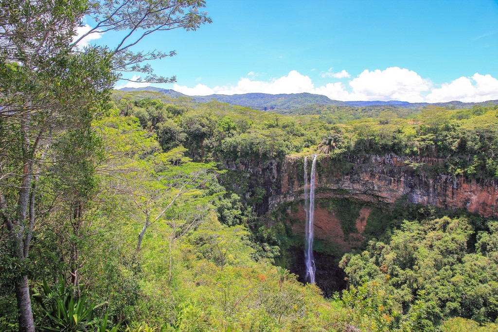 cascata in scarpata con alberi e vegetazione