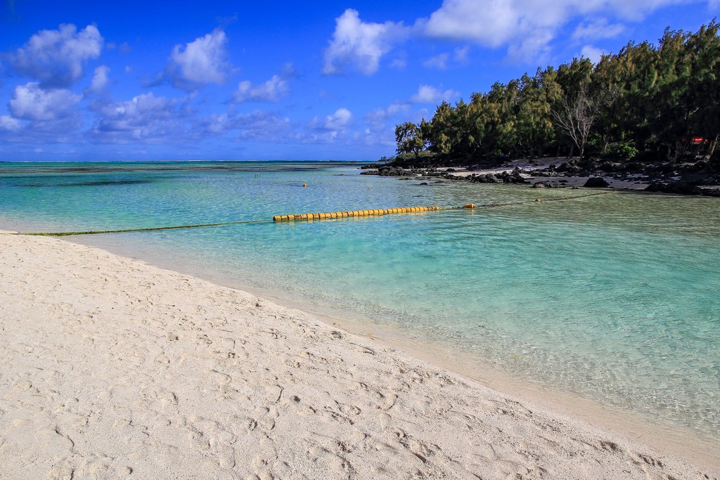 spiaggia mare e alberi