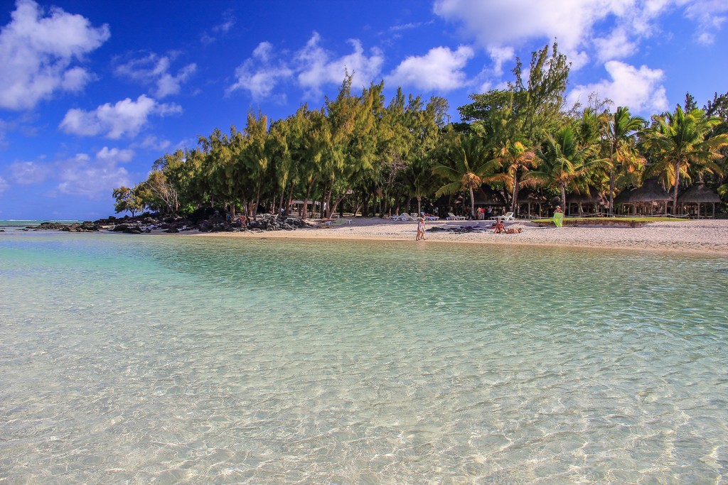 spiaggia mare e alberi