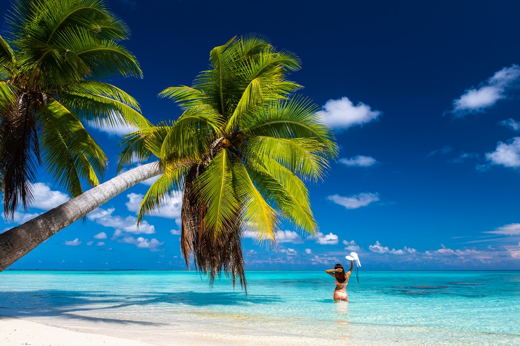 dove scattare foto da sogno a Fakarava spiaggia con palme protese sul mare e persona