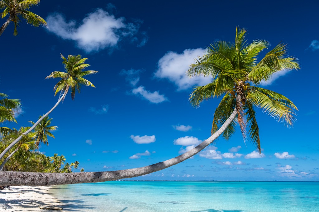 dove scattare foto da sogno a Fakarava spiaggia con palme