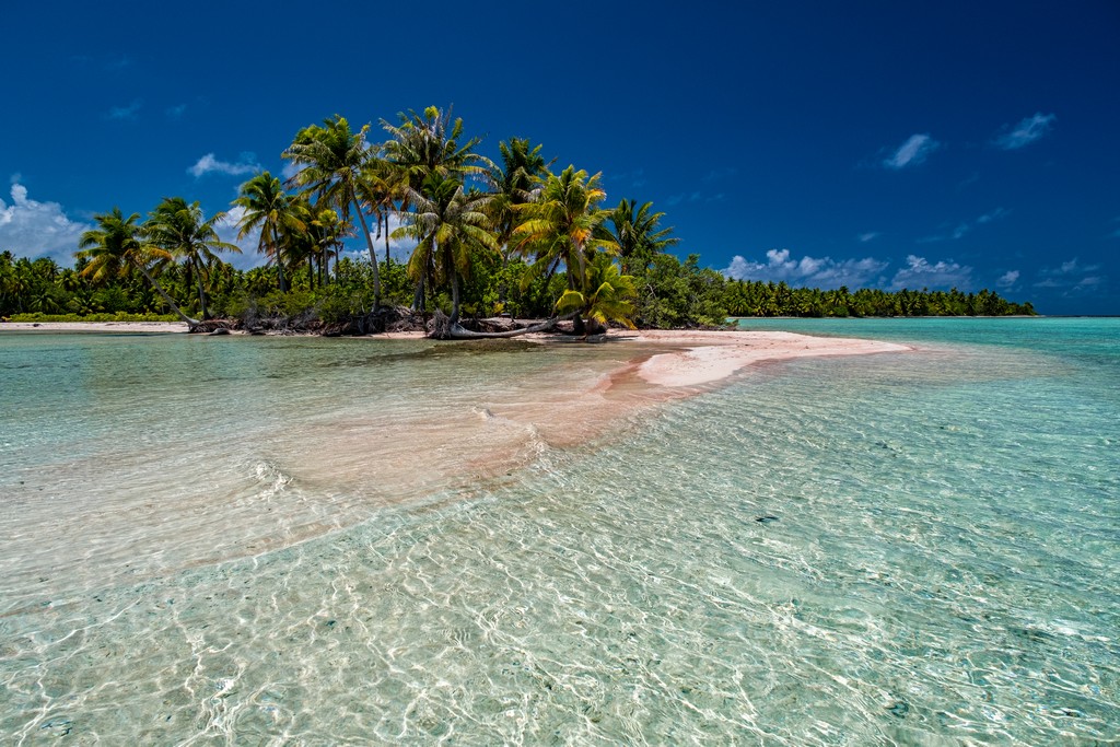 isola di sabbia rosa con palme