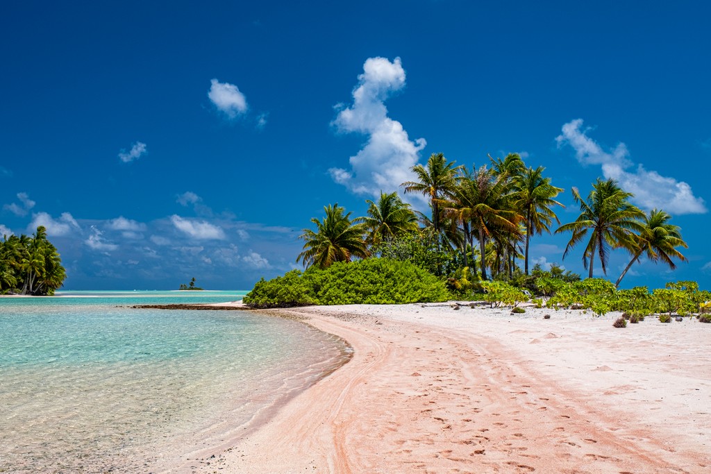 isola di sabbia rosa con palme