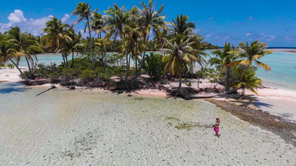 isola di sabbia rosa con palme