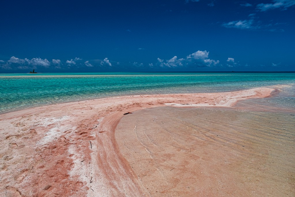 sabbia rosa e mare