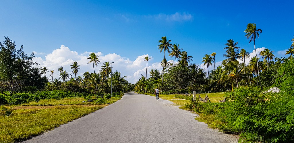 dove scattare foto da sogno a Fakarava strada asfaltata con palme e bici