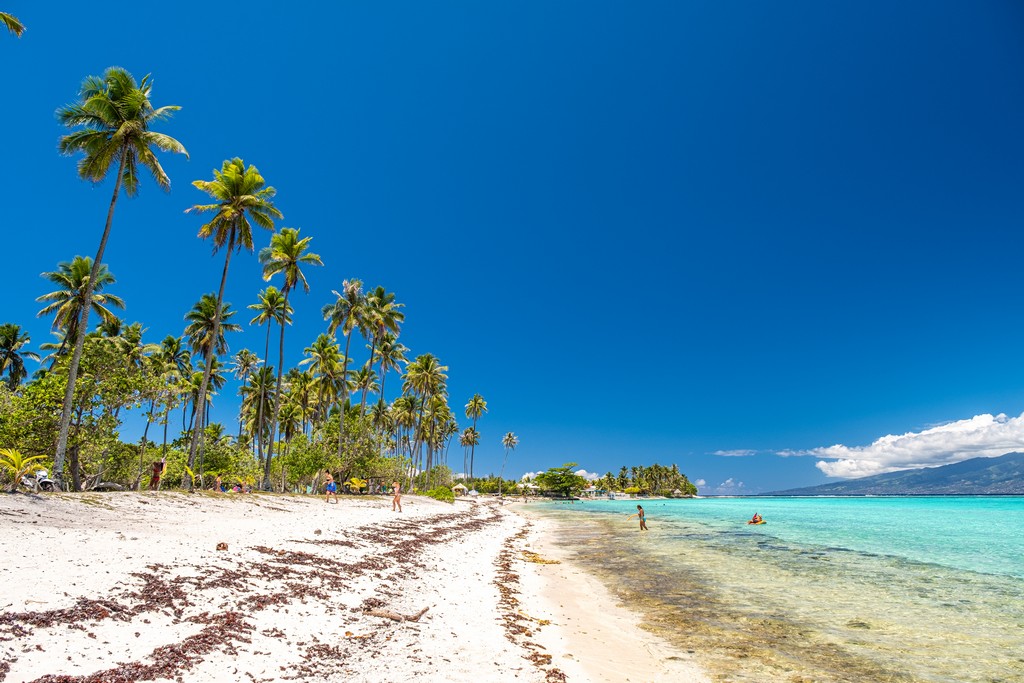 spiaggia con palme alte, sabbia bianca e mare turchese