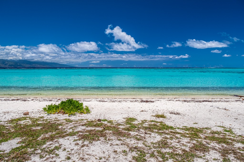 spiaggia bianca e mare turchese con cespuglio verde