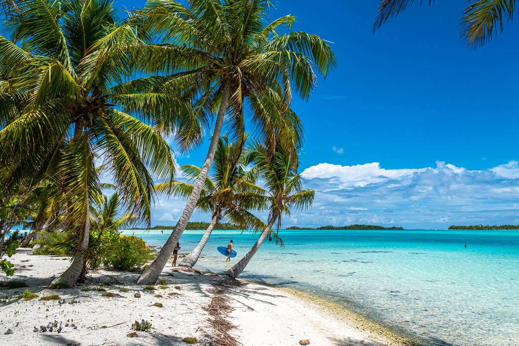 isole con palme sabbia bianca e laguna cristallina bassa
