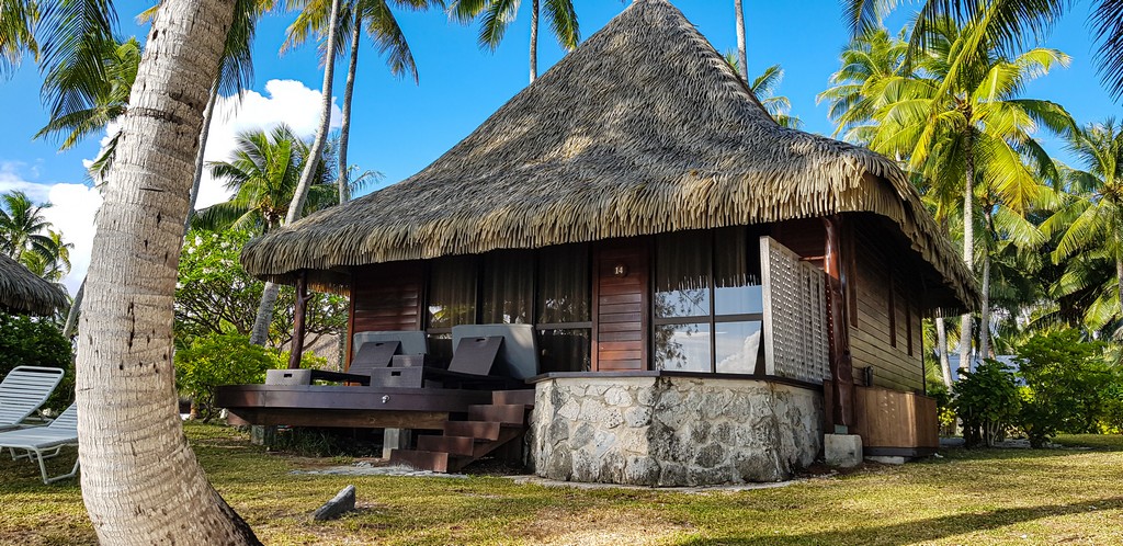 beach bungalow con palma