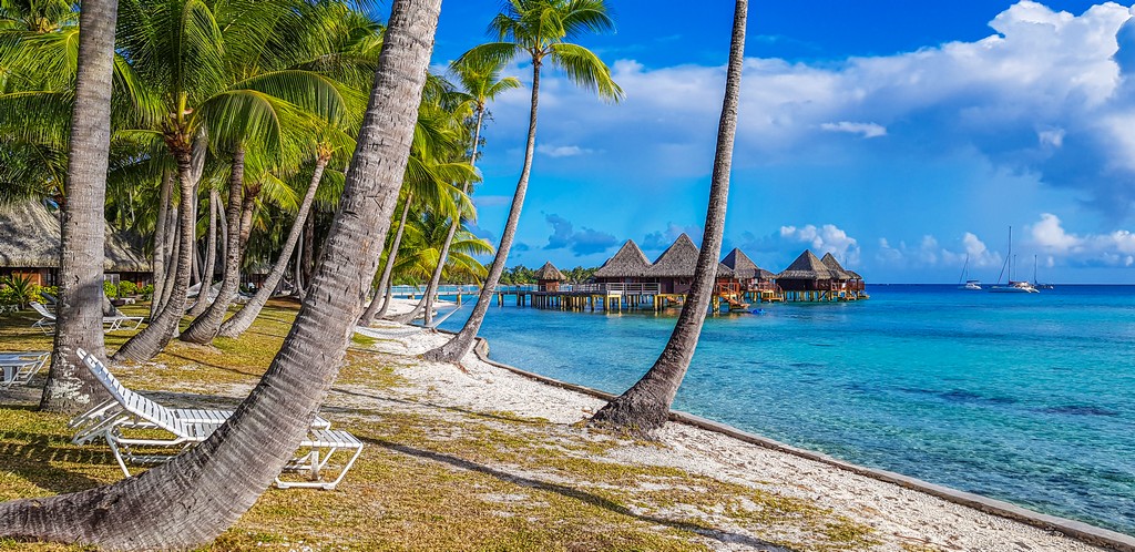 spiaggia con palme e overwater