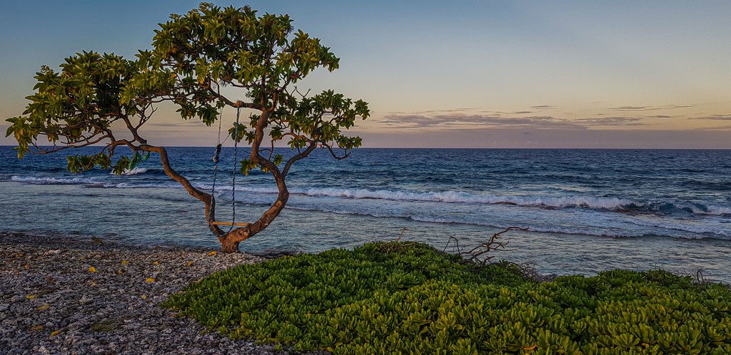 guida a Rangiroa, mare sullo sfondo con albero al tramonto