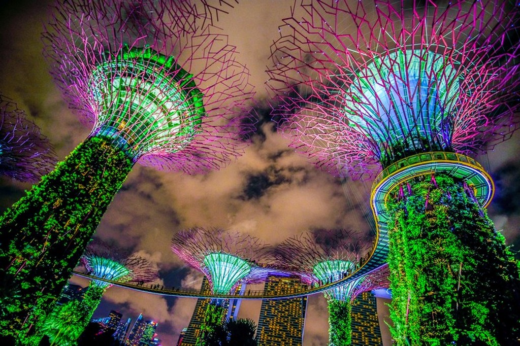 alberi artificiali illuminati con passerella di sera