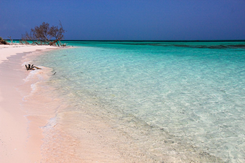 spiaggia di sabbia bianca con mare turchese con mangrovie