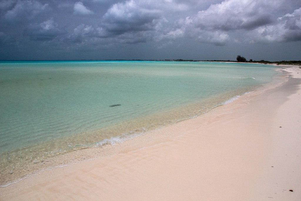 spiaggia di sabbia bianca con mare turchese