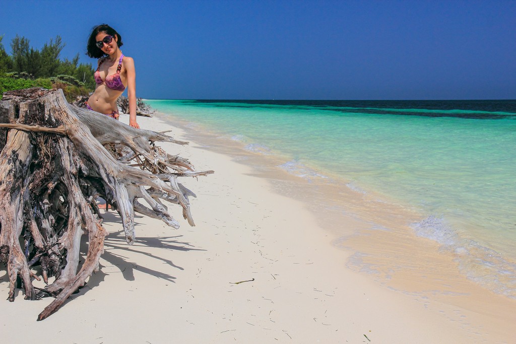 spiaggia di sabbia bianca con mare turchese e albero secco con persona