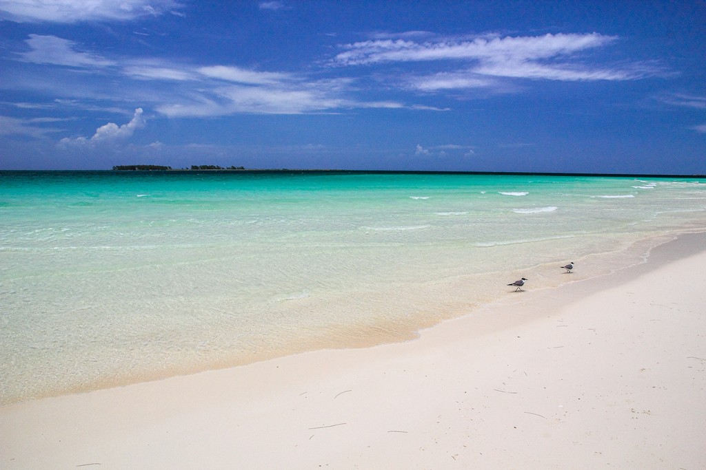 spiaggia di sabbia bianca con mare turchese isola in fondo e gabbiani