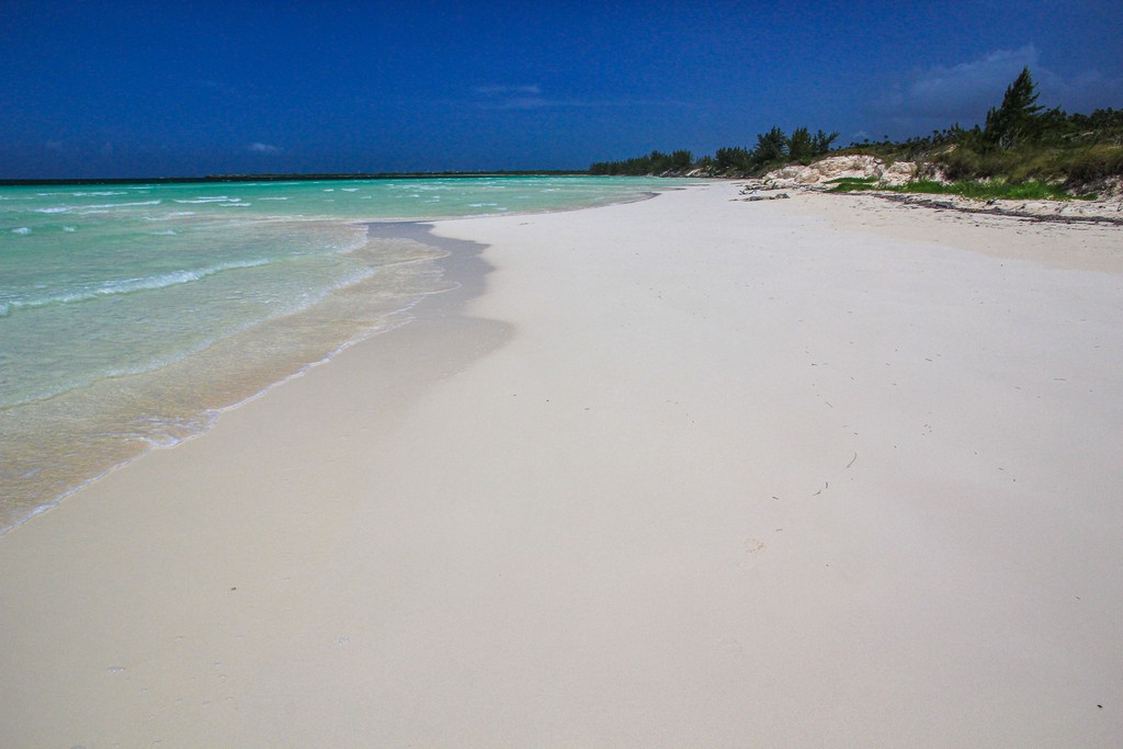 spiaggia di sabbia bianca con mare turchese e vegetazione bassa