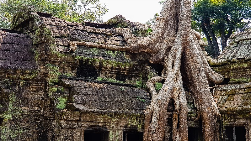 Come organizzare un viaggio in Cambogia fai da te