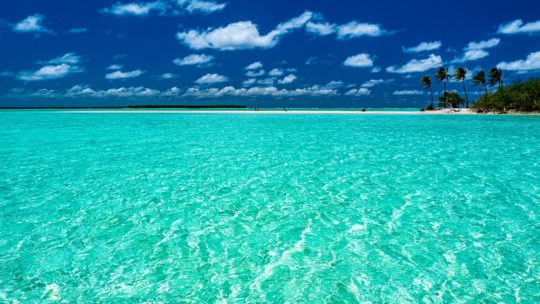 Mare turchese con spiaggia e palme in lontananza cielo azzurro e nuvolette bianche