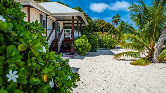 fiori di tiare in primo piano su spiaggia con bungalow e palme