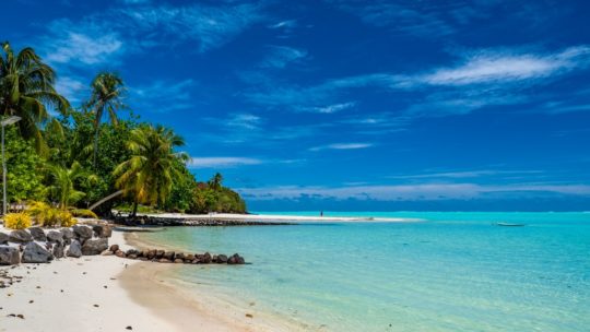 il nostro itinerario in polinesia francese vista aerea di una penisola di spiaggia bianca nella lagunaspiaggia bianca e mare con palme