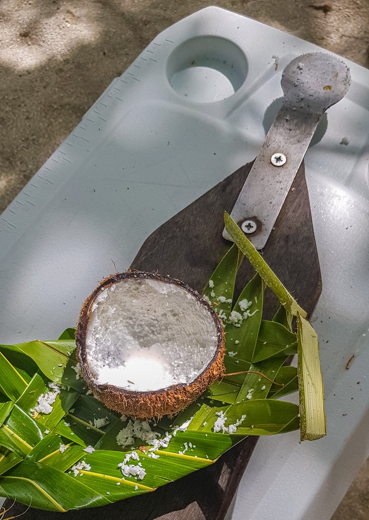 noce di cocco con accessorio per grattugiarla
