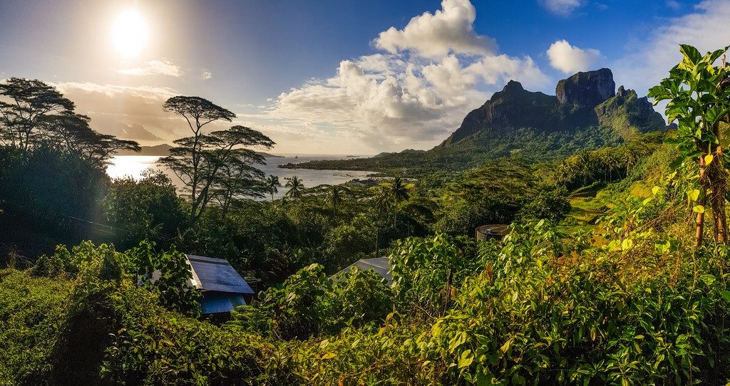 vista della costa da un punto panoramico sopraelevato con alberi e cime