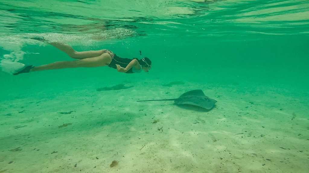 donna con razza in acqua