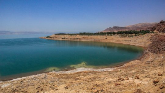 costa del mar morto con formazioni saline