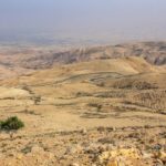 vista della arida valle del giordano con un albero e strada che serpeggia