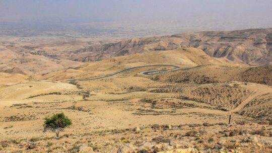 vista della arida valle del giordano con un albero e strada che serpeggia