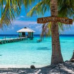 10 cose da non perdere a Fakarava palme in spiaggia