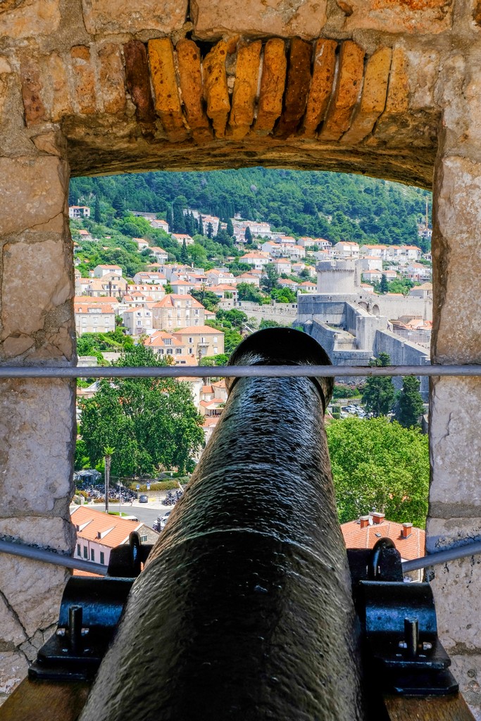 cannone con vista città